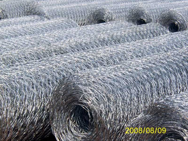 ���e�W(w��ng)